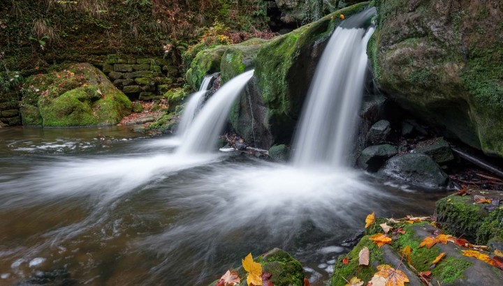 Photography Workshop - Mullerthal - Luxembourg's Little Switzerland - IMG 1